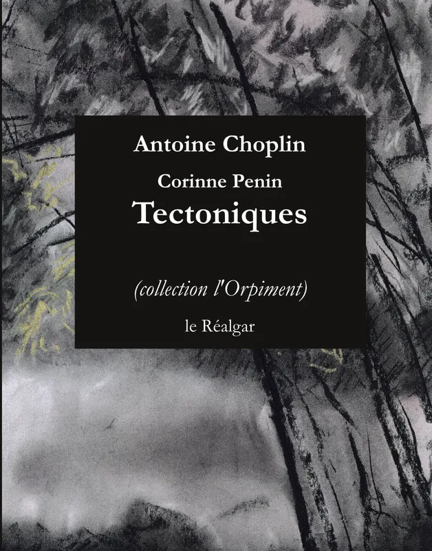 Livres Littérature et Essais littéraires Poésie Tectoniques Antoine Choplin