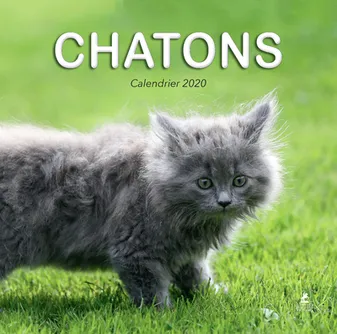 Calendrier Chatons 2020