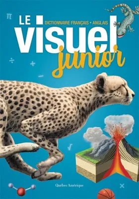 Le visuel junior, Dictionnaire français-anglais