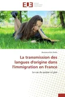 La transmission des langues d'origine dans l'immigration en France, Le cas du pulaar à Lyon