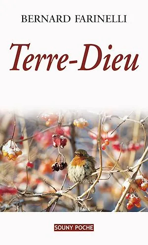 Terre-Dieu, Un roman du terroir Bernard Farinelli