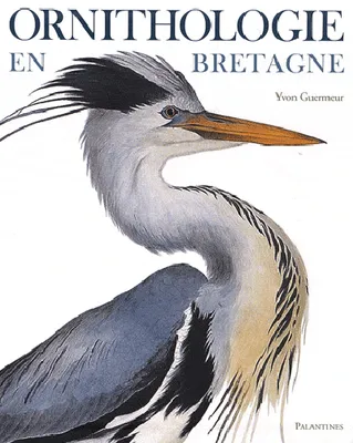 Ornithologie de Bretagne