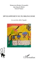 Développement du plurilinguisme, Le cas de la ville d'Agadir