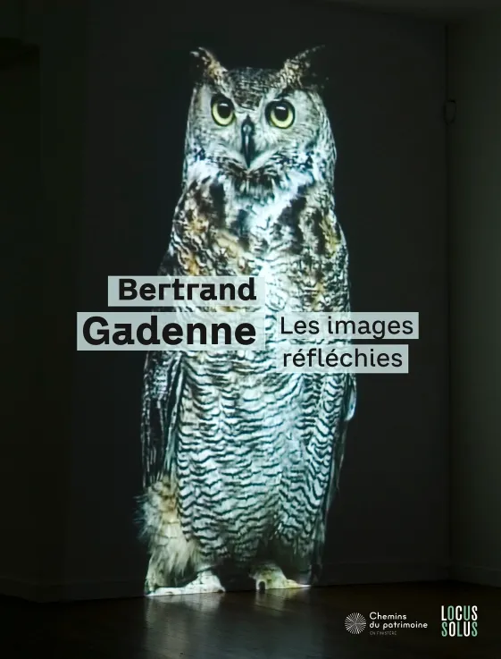 Livres Arts Catalogues d'exposition Bertrand Gadenne - Les images réfléchies Stéphane CARRAYROU