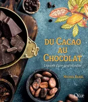 Du cacao au chocolat, L'épopée d'une gourmandise