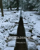 Andy Goldsworthy, Projects