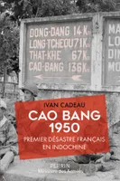 Cao Bang 1950, Premier désastre français en Indochine