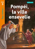 Pompéi, la ville ensevelie Niveau 3 - Tous lecteurs ! - Ed.2010, [cycles 2 et 3]