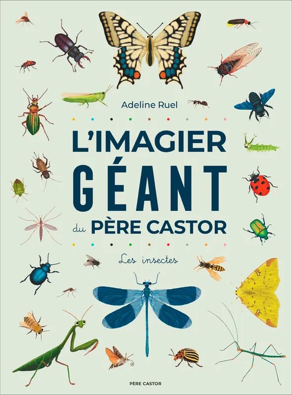 Livres Jeunesse Les tout-petits Tout-carton et imagier L'Imagier géant du Père Castor, Les insectes Adeline Ruel