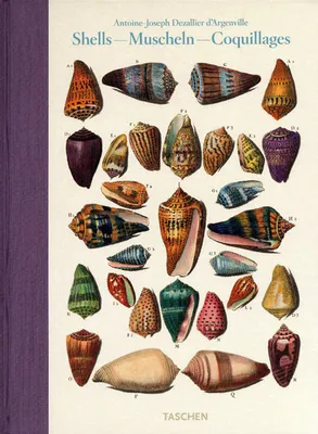 Shells / Muscheln / Coquillages, conchology or the natural history of sea, freshwater, terrestrial and fossil shells