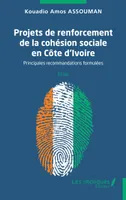 Projets de renforcement de la cohésion sociale en Côte d’Ivoire, Principales recommandations formulées