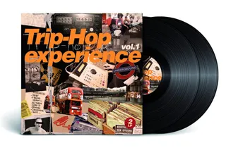 Trip-hop Experience Vol.1