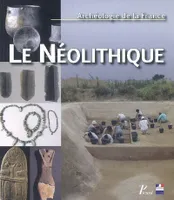 Archéologie de la France, Le néolithique, archéologie de la France