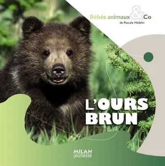 L'OURS BRUN BEBES ANIMAUX & CO -