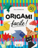 L'origami facile