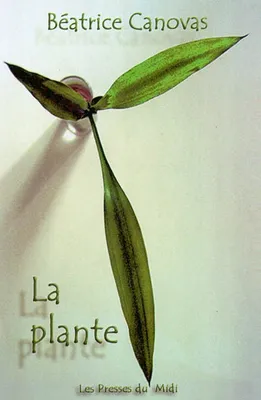 La plante