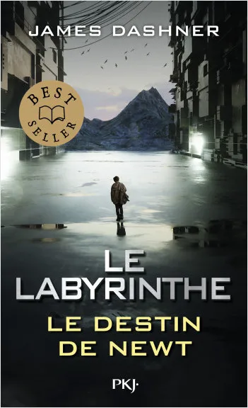Jeux et Jouets Livres Livres pour les  Ados et Jeunes Adultes Romans Le Labyrinthe : Le destin de Newt James Dashner