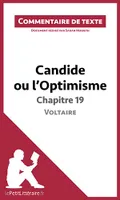 Candide ou l'Optimisme de Voltaire - Chapitre 19, Commentaire et Analyse de texte