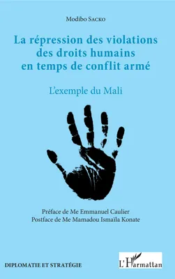 La répression des violations des droits humains en temps de conflit armé, L'exemple du mali