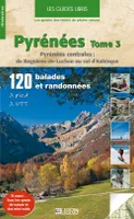 Pyrénées T.3, Pyrénées centrales : de Bagnères-de-Luchon au col d'Aubisque