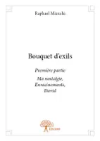 1, Bouquet d'exils partie 1, Ma nostalgie, Enracinements, David