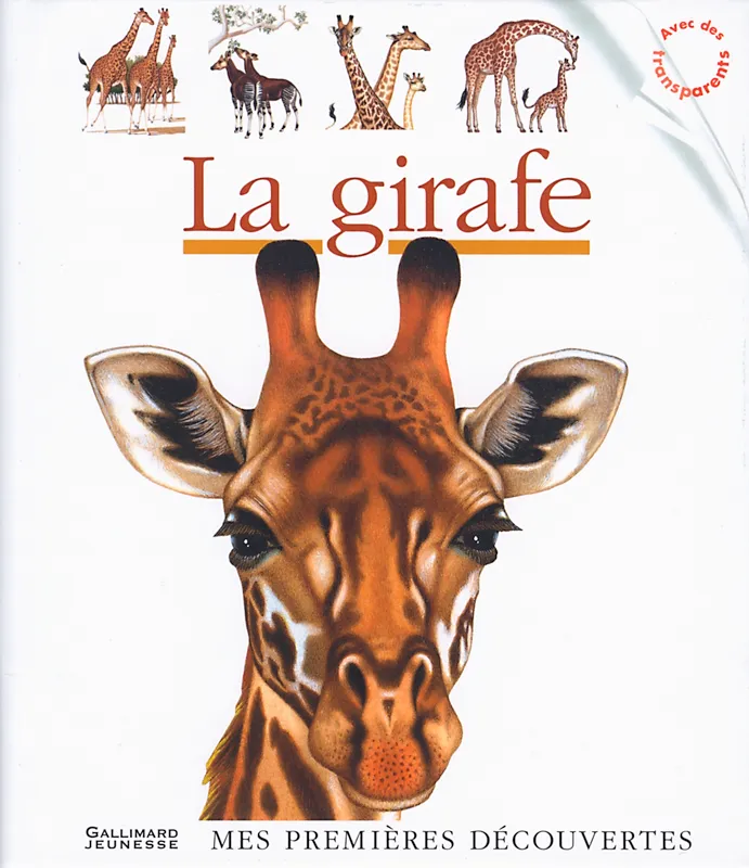 La girafe Jean-Philippe Chabot