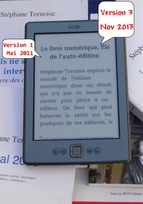 Le livre numérique, fils de l’auto-édition, Version 3 novembre 2013 - comprendre les enjeux de l'édition en France