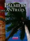 Palmiers des Antilles françaises
