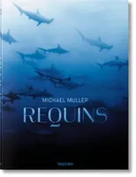 Michael Muller. Requins (GB), FO