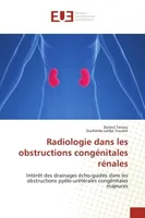 Radiologie dans les obstructions congénitales rénales, Intérêt des drainages écho-guidés dans les obstructions pyélo-urétérales congénitales majeures