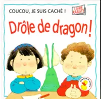 DROLE DE DRAGON