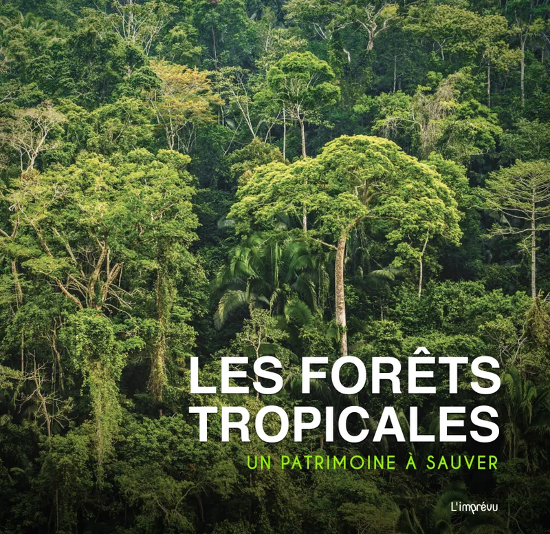 Livres Écologie et nature Nature Beaux Livres Les forêts tropicales, Un patrimoine à sauver Simon G. Dures