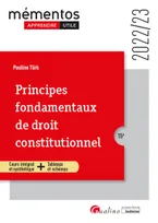 Principes fondamentaux de droit constitutionnel, Un cours ordonné, complet et accessible de la théorie du droit constitutionnel