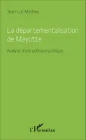 Départementalisation de Mayotte, Analyse d'une politique publique