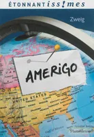 Amerigo, récit d'une erreur historique