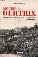 Mourir à Bertrix, Le sacrifice des régiments du sud-ouest, 22 août 1914