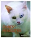 Chats insolites
