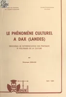 Le phénomène culturel à Dax (Landes), Processus de différenciation des pratiques et politiques de la culture