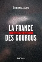 La France des gourous, Journal d'un infiltré
