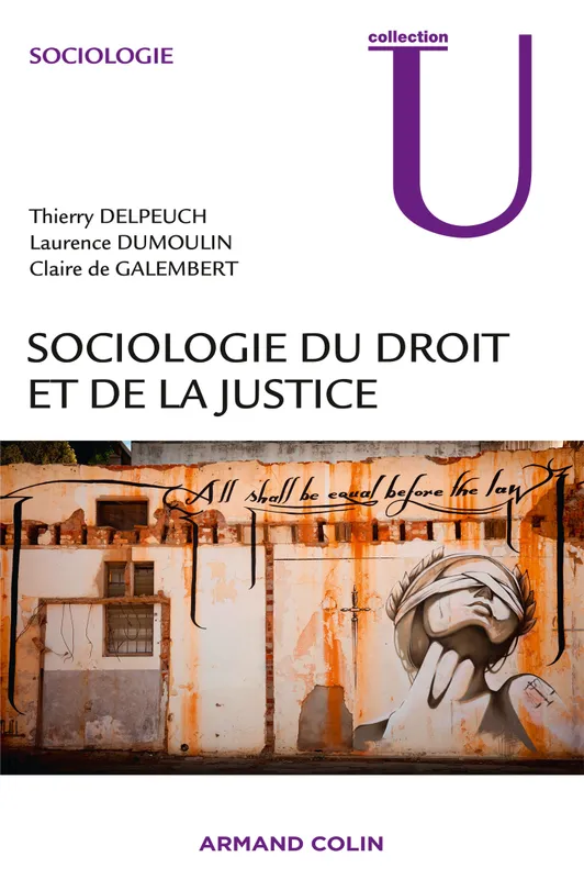 Livres Sciences Humaines et Sociales Sciences sociales Sociologie du droit et de la justice Thierry Delpeuch, Laurence Dumoulin, Claire de Galembert