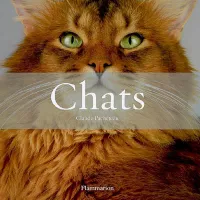 Chats (Coffret), Histoires de chats - Les Plus Beaux Chats