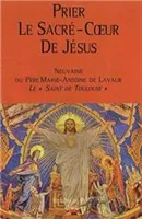 Prier le Sacré Cœur de Jésus, Neuvaine du Père Marie-Antoine de Lavaur, Le Saint de Toulouse