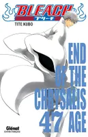 Bleach - Tome 47, End of the chrysalis age
