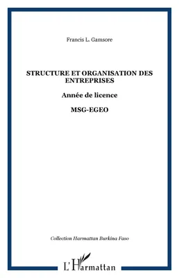 Structure et organisation des entreprises, Année de licence - MSG-EGEO