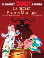 Une aventure d'Asterix, Astérix - Album illustré du film - Le secret de la potion magique (Hors collection)