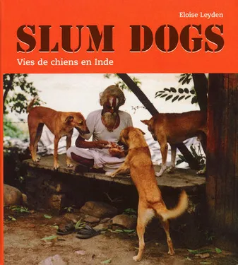 Slum dogs, vies de chiens en Inde