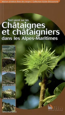 Tout savoir sur les châtaignes et châtaigniers dans les Alpes-Maritimes