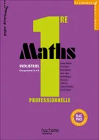 Ressources et pratiques Maths 1re Bac Pro Industriel (A et B) - Livre élève - Ed.2010
