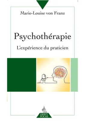 Psychothérapie - L'expérience du praticien, L'expérience du praticien