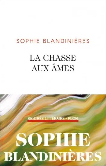 Livres Littérature et Essais littéraires Romans contemporains Francophones La chasse aux âmes Sophie Blandinières